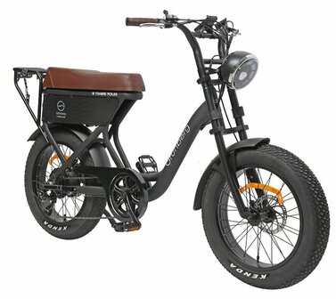 Gr&uuml;nberg E-Times Tour F Elektrische Fatbike 250W 20&#039;&#039; 