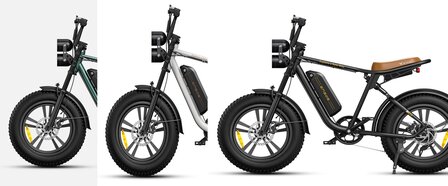 Engwe M20 -  20 inch -Enkele batterij - Elektrische fatbike- 2 kleuren