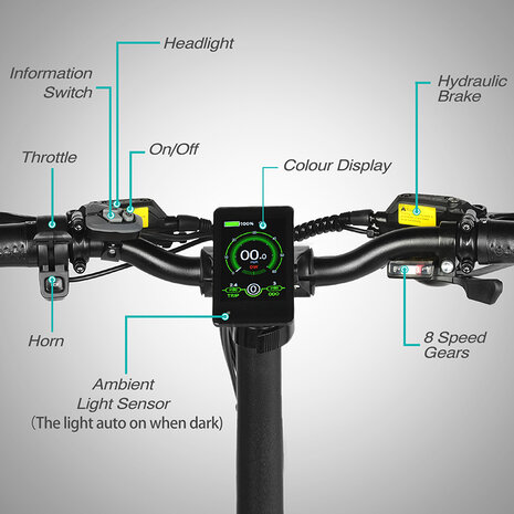 Engwe Engine pro 2.0 - Elektrische fatbike- Kleurenscherm- 60-70 km actieradius-  Opvouwbaar- Achterrek - zwart- groen- blauw